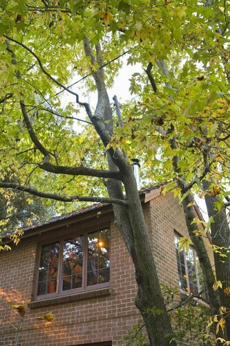 Cherrytree Cottage, Забронировать Дом для отпуска Краферс 