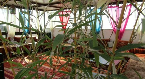 Riad Luzia, Забронировать Отель Марракеш Марракеш-Тенсифт-Эль-Хауз, рядом с Музей марокканского искусства