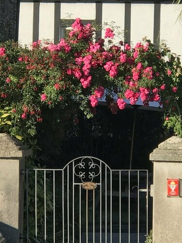 Spring Gardens B&B, Rezervați Bed and Breakfast Hoteluri de afaceri în Wadebridge, 4* 5*