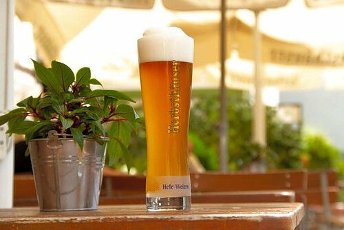 Gasthaus zum Ochsen, Réserver Maison d'hôtes Hôtels à Bade-Wurtemberg avec parking, Parking