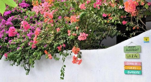 Wonderland, Boek Bed and Breakfast Hotels in Lombok met parkeren, Parkeren
