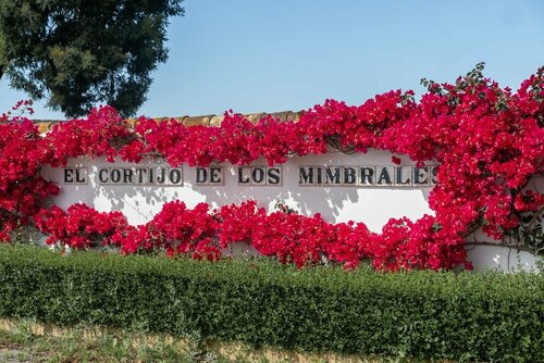El Cortijo De Los Mimbrales, Book Hotel Hoteller i Huelva med pool, Swimmingpool