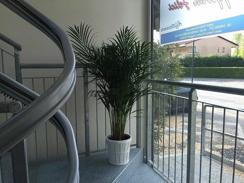 Treviso Rooms, Prenota Hotel Treviso 