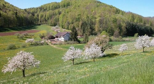Hotel Bienenberg, Забронировать Отель Листаль Базель