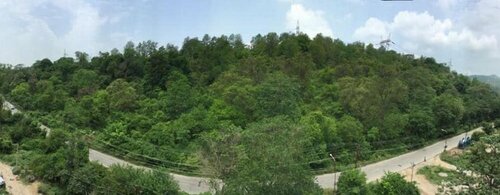 The Forest Hill Hotel, Réserver Hôtel Haridwar Uttarakhand