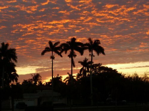 Hollywood Beach Golf Resort, Book Ferieresort Hoteller i Panhandle Florida med parkering, Parkering