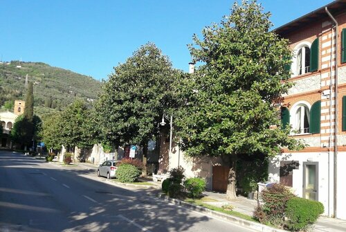 Art Hotel Pietrasanta, Забронировать Отель Пьетрасанта Версилия