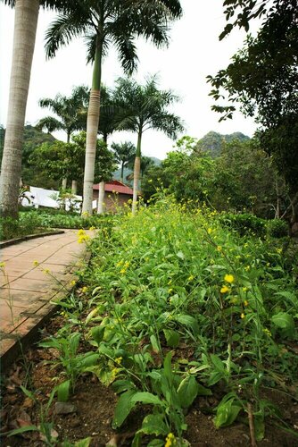 Long Phuong Homestay, 予約 ホテル カットバ島 Cat Ba National Park
