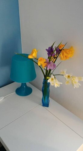 My Room in Trani, Book Hotel Trani Apulien