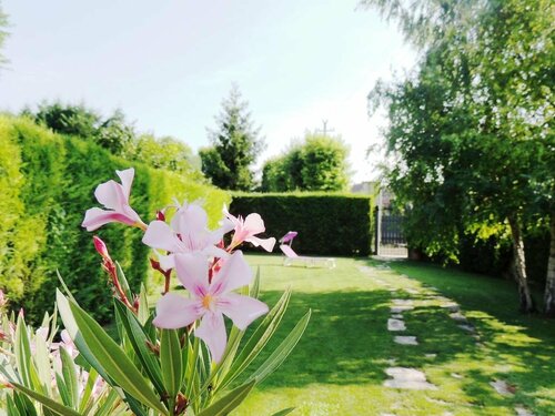 B&B La Casa di Rosa, Prenota Hotel Lavagno Veneto