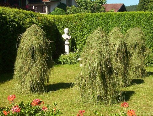 Gasthaus am Zierwald, Забронировать Отель Грайнау Гармиш-Партенкирхен