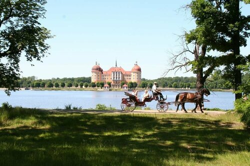 Hotel Rabennest, Book Hotel Hotels in Saxony with Parking, Parking
