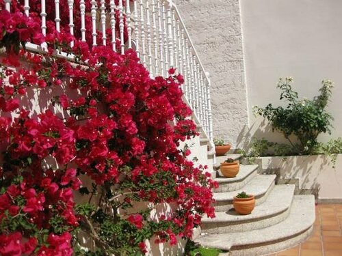 Apartamentos Maritimo Suites-Solo Adultos, Book Lejlighed  