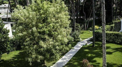 Eurovil, Reserva ahora Hotel Hoteles en Véneto con aparcamiento, Aparcamiento