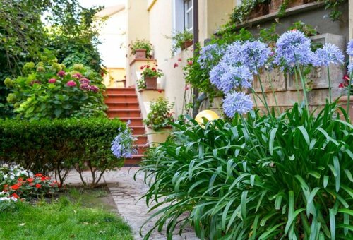Calycanto, Забронировать Гостевой дом Отели Gallura с завтраком, Завтраки