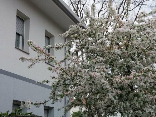 Civico 51 BB, Book Hotel Hoteller i Friuli Venezia Giulia med parkering, Parkering