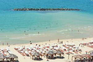 master Shenkin, Reserva ahora Apartamento Apartamentos en Tel Aviv, cerca de Teatro Cameri, Apartamento