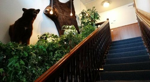 Botnia Hotel & Restaurant, Prenota Hotel Kronoby Finlandia