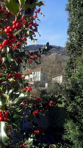 Hotel Les Terrasses d' Allevard, Book Hotel Hoteller i Rhône-Alps med parkering, Parkering