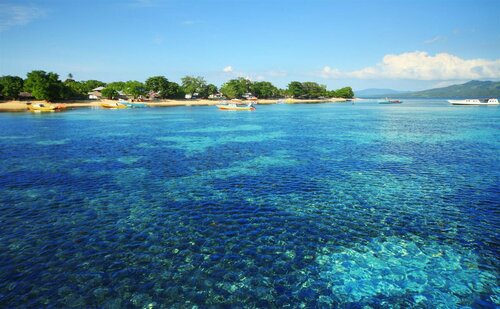 Froggies Bunaken, Prenota Hotel North Sulawesi Sulawesi