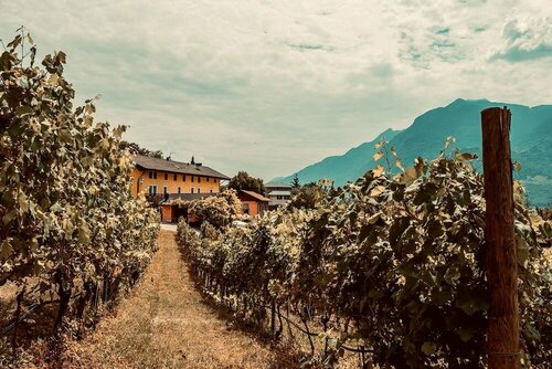Agriturismo Mas dei Chini, Забронировать Фермерский дом Отели Тренто с парковкой, Парковка