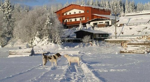 Pension H, Prenota Hotel Jachymov 