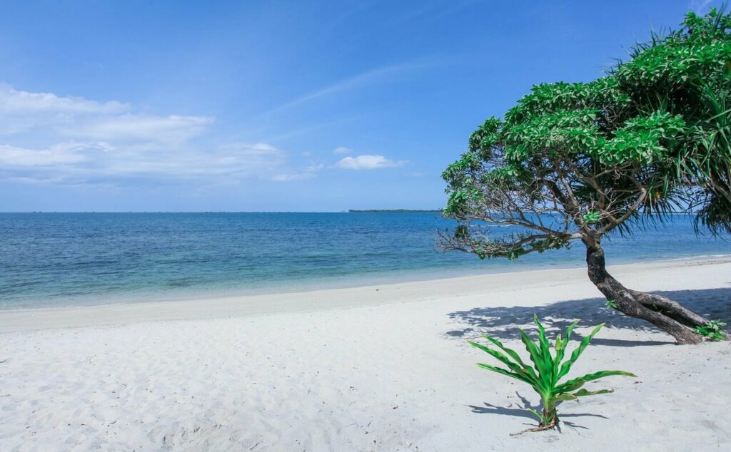 Trikora Beach Club and Resort, Bintan