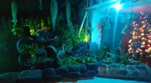 Caribe Accommodation and Conferences, Забронировать Отель Недорогие отели Питермарицбурга, недорого