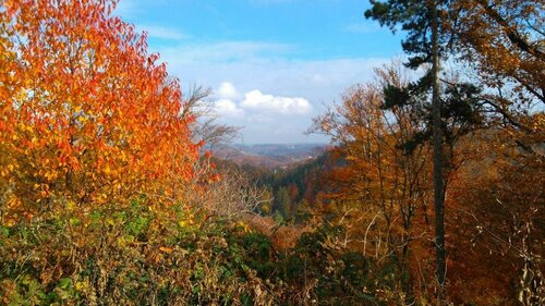 Hotel St. Hubertushof, Book Hotel Hotels in Styria with Parking, Parking