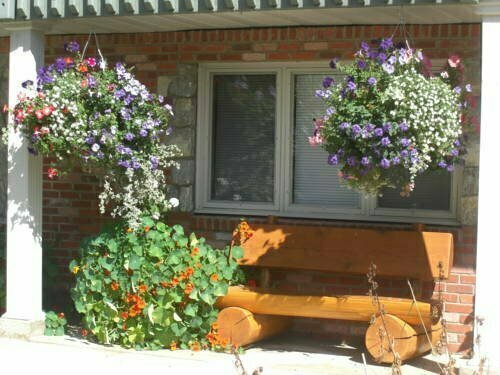 Dream Catcher Inn