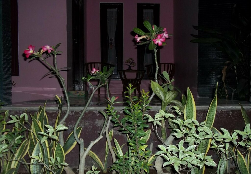 Trust Bungalow