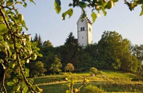Trip Inn Landhotel Krone, Réserver Hôtel Hôtels à Bade-Wurtemberg avec parking, Parking