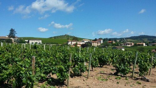 Logis Hotel Des Grands Vins, Prenota Hotel Hotel a Alvernia con piscina, Piscina