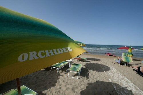 Le Orchidee, Rezervasyon Otel Foggia Apulia