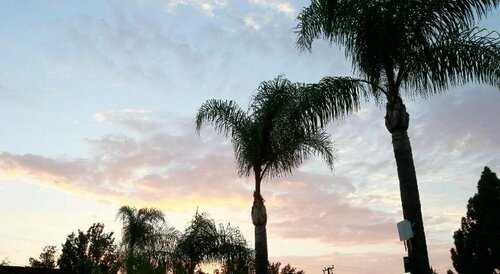 Sky Palm Motel - Orange, Забронировать Мотель Отели Disneyland California с парковкой, Парковка