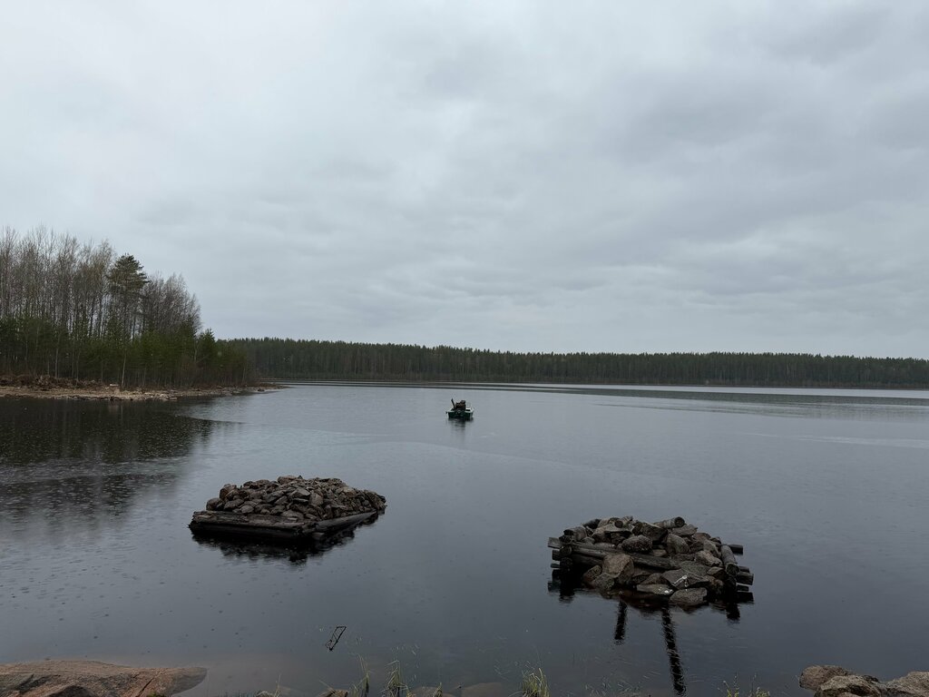 Салонсари