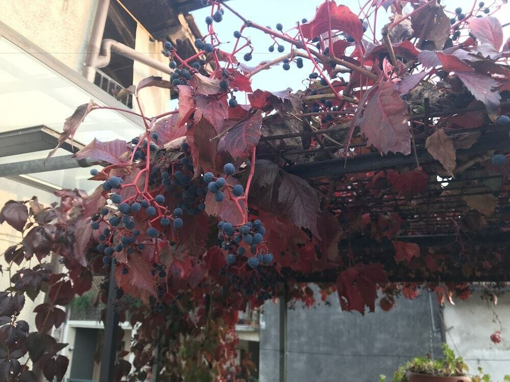B&B by lakes Orta Maggiore