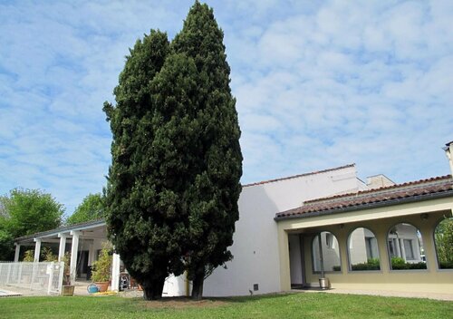 Kyriad Saintes, Prenota Hotel Saintes Charente Marittima
