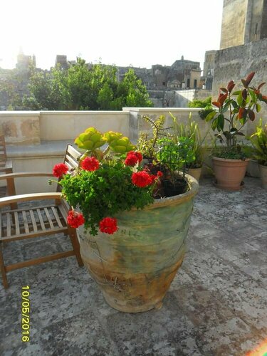 B&B La Casa Gialla di Mariella, Prenota Bed & breakfast Lecce Salento