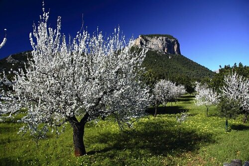 Hostal Can Tiu, Забронировать Хостел Аларо Sierra de Tramuntana