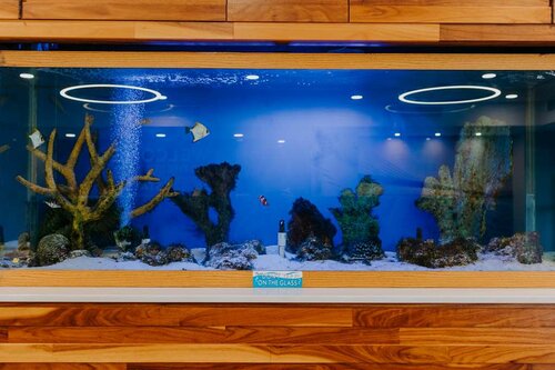 Rehoboth Beach, Забронировать Апартаменты/квартира Апартаменты Рехобот-Бич, Апартаменты/квартира