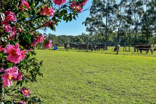 Maleny Luxury Cottages, Boek Hotel Maleny 