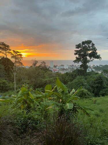 Phuket Jungle Experience Resort, Забронировать Курортный отель Бизнес-отели Карон Бича, 4* 5*