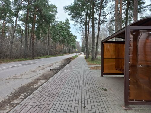 Villa-N, Rezervovat Hotel Kaliningrad region hotely s bazénem, Bazén