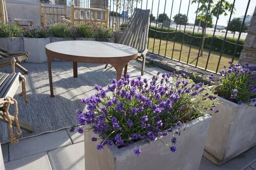 Scandic Visby, Rezerwuj Hotel Hotele w Visby z parkingiem, Parking