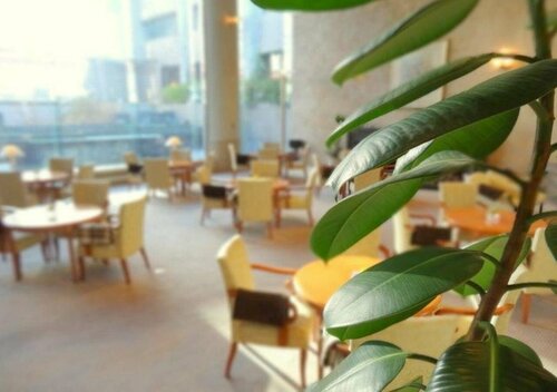 Hotel Cypress Karuizawa, Забронировать Отель Каруидзава Нагано, рядом с Торговый центр Karuizawa Prince Shopping Plaza