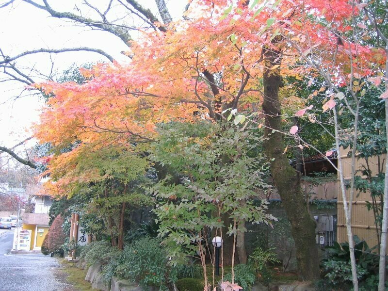 Ryokan Gyokutei