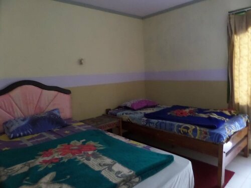 Yog Bromo Homestay, Book Pension East Java Gæstehuse, Pension