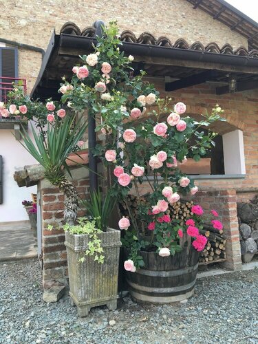 Agriturismo Relais "il Bricco", Reserva ahora Agroturismo Hoteles en Monferrato con aparcamiento, Aparcamiento