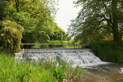 Champneys Henlow, Boek Hotel Hotels in Merseyside met ontbijt, Ontbijt